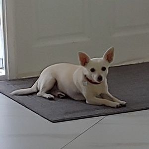 Meet your Posher, Rubenr